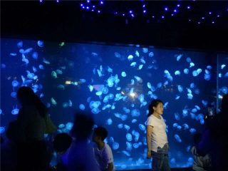 2018 akrilna akrilna creva akvarijskog stakla