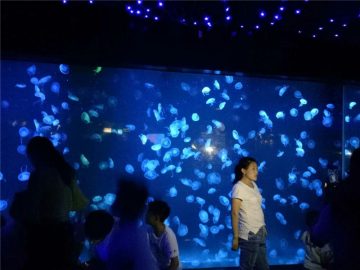 2018 akrilna akrilna creva akvarijskog stakla
