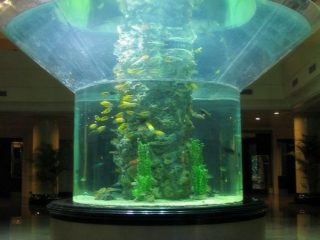pmma staklo akvarij pola cilindra perspex riba cisterna