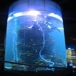 čist akril cilindar veliki riba cisterna za akvarije ili ocean park
