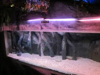Akrilna tabla / prozor za podvodno more