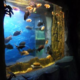 2018 Vrhunska akrilna ploča za prozor akvarijuma