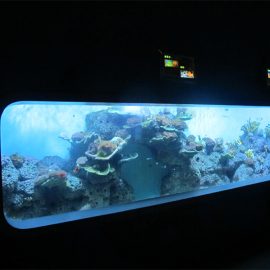 Vještački lijev akrilni cilindrični prozirni riblji akvarijum / pogled prozor
