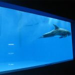visokokvalitetni akrilni akvarijum akvarijum / bazeni podvodni debeli prozori