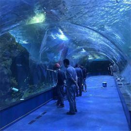 Acrylic tunnel oceanarium projekat u javnim akvarijumima