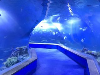 Čista PMMA akrilni Tunel velikog plastičnog akvarijuma