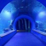 Visoki prozirni akrilni akvarijum akvarijum različitih oblika