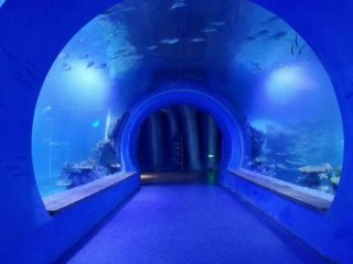 Visoki prozirni akrilni akvarijum akvarijum različitih oblika
