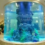 crystal fish tank