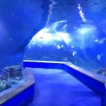 prozirno akrilno staklo Tunel akvarijum